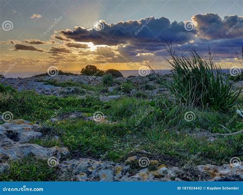 Dingli Cliffs Malta stock photo. Image of nature, prairie - 181924442