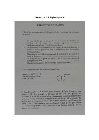 Examen De Fisiolog A Vegetal Ii Pdf