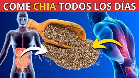 La Chía Afloja Los Intestinos ¿y Si Comes Chia Todos Los Días El Resultado Te Sorprenderá Youtube