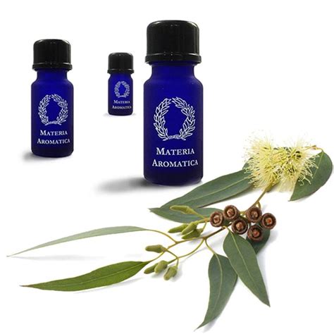 Eucalyptus Dives Materia Aromatica