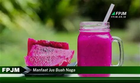 Ketahui 6 Manfaat Jus Buah Naga Yang Bikin Kamu Penasaran Discover NEWS