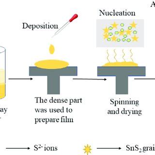 Schematic Illustrating The Formation Of Sns Thin Films By Spin