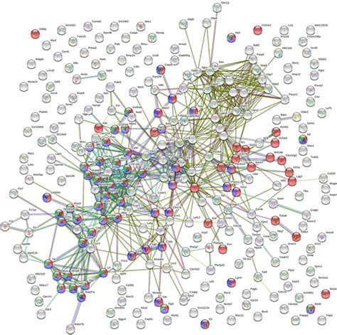 Frontiers Transcriptome Analysis Identifies Immune Markers Related To Visceral Leishmaniasis