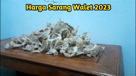 Update Harga Sarang Burung Walet Walet Liur Mulia Nganjuk Youtube