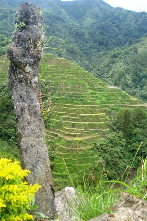 The Majestic Banaue Rice Terraces Banaue Rice Terraces Banaue Natural Landmarks