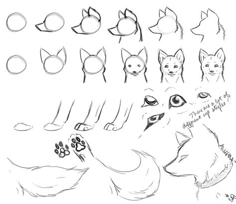 How To Draw A Wolf Cut