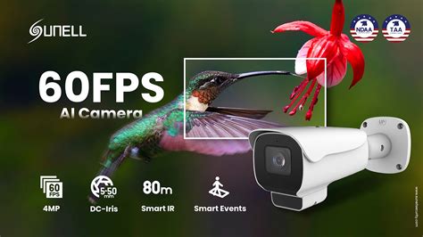 Enhancing Video Monitoring Quality Exploring The Advantages Of Fps