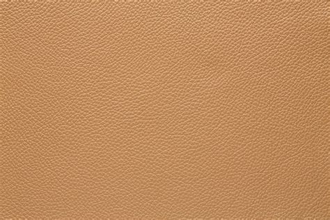 Royalty Free Tan Leather Pictures Images And Stock Photos Istock
