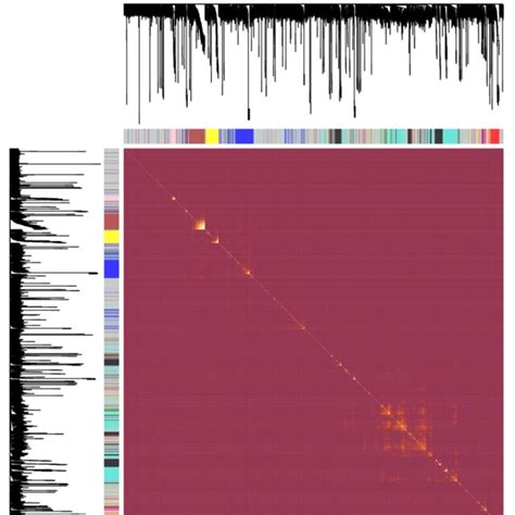 Visualization Of The Wgcna Network The Heatmap Plot Represents The