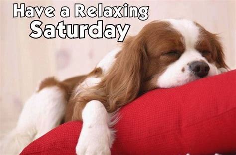 Have A Relaxing Saturday Pictures Photos And Images For Facebook