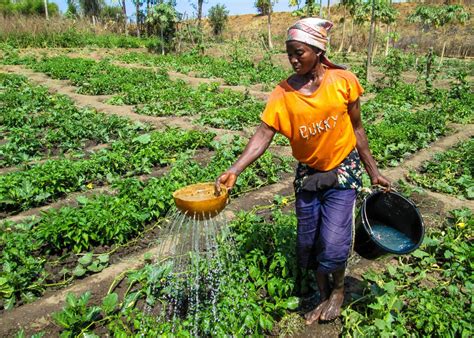 Government of Ghana Urged to Adopt Sustainable Food Security Enhancing ...