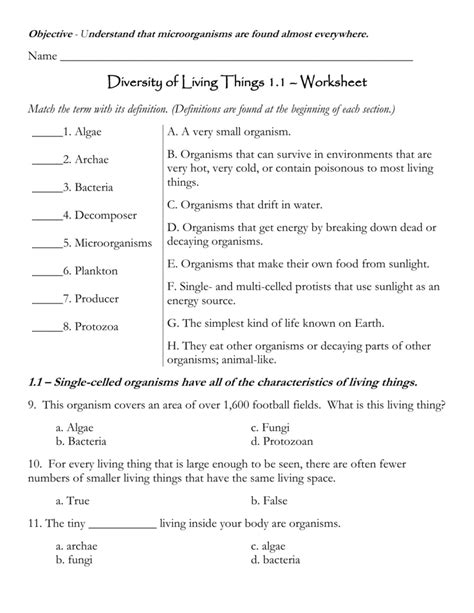 Characteristics Of Living Things Worksheet – Imsyaf.com