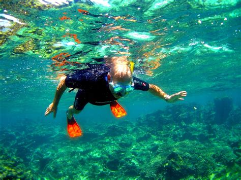 Voyage D Tudes La Faune Et Flore En Guadeloupe Du Au Janvier