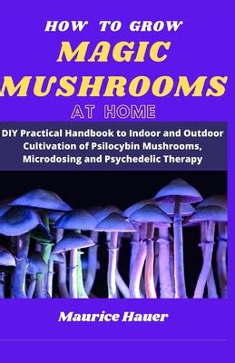 How To Grow Magic Mushrooms At Home DIY Practical Handbook To Indoor