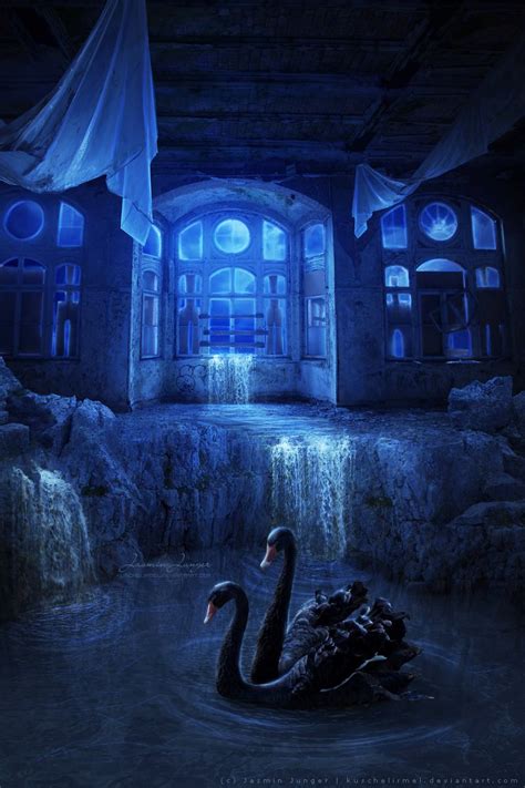 Black Swan Lake by kuschelirmel on DeviantART | Black swan, Swan lake ...