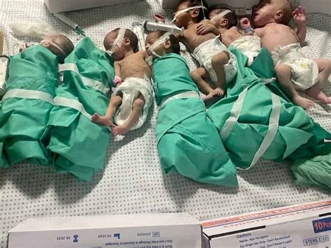 Premature Babies Evacuated From Gaza S Al Shifa Hospital