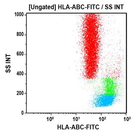 Hla Abc Antibodies Beckman Coulter Life Sciences