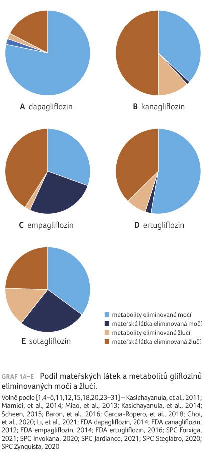 Inhibitory Sglt St Farmakokinetika Metabolismus A Transport