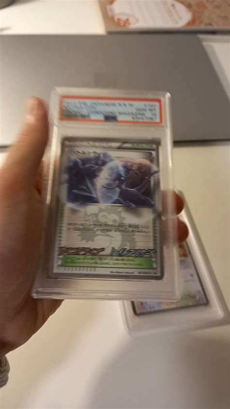 Beautiful holo this one : r/pokemoncardcollectors