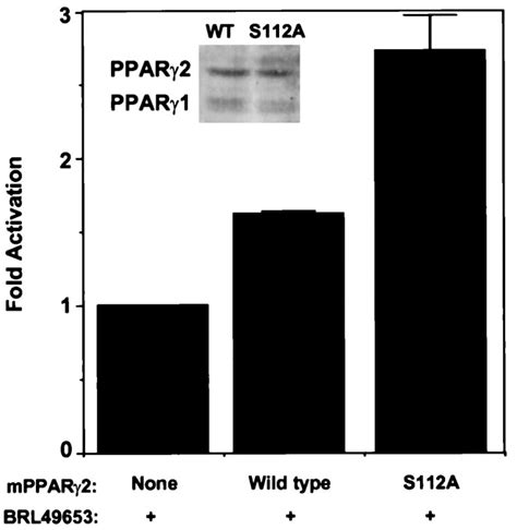 Transcriptional Activation By Peroxisome Proliferator Activated