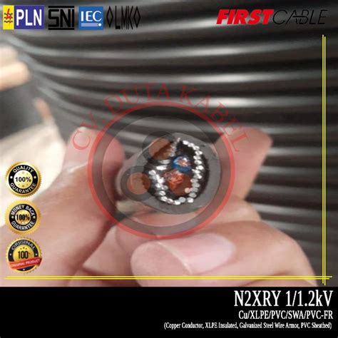 Jual Kabel N2XRY 2x6 Mm2 FIRST CABLE Cu XLPE SWA PVC 2x6 Mm 2 X 6 Mm2