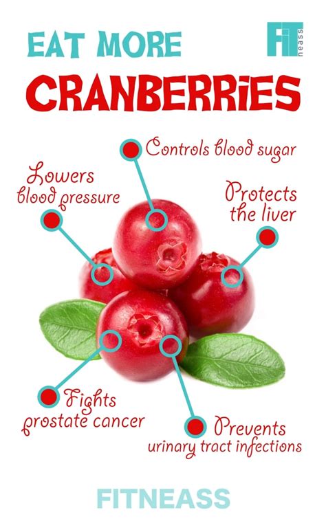 The Surprising Health Benefits Of Berries Infographic Fitneass