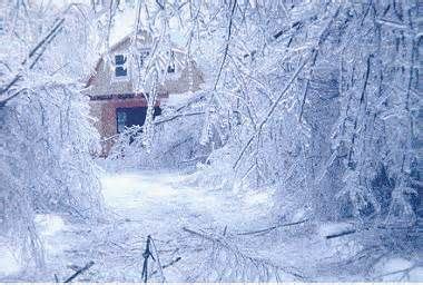 Maine Ice Storm 1998 | Ice storm, Ice storm 1998, Winter preparedness