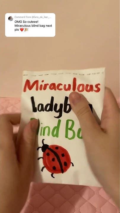 Miraculous Ladybug Blind Bag 🐞 Blindbag Craft Diy Miraculous Asmr