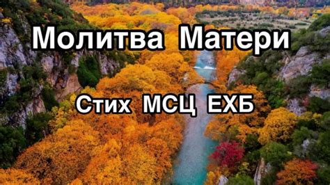 МОЛИТВА МАТЕРИ СТИХ МСЦ ЕХБ - YouTube