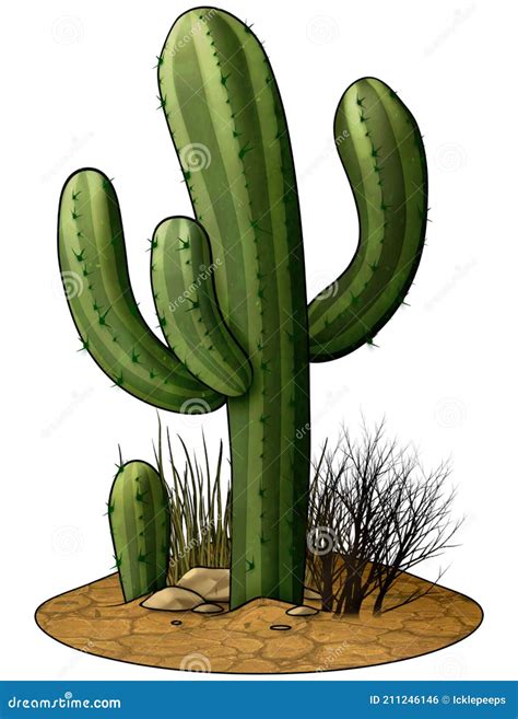 Western Cactus Clip Art