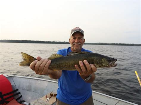 Ontario Walleye Fishing Trips Canada Thunderhook Fly Ins