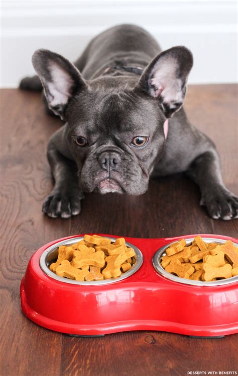 Recipe Healthy Dog Treats Wheat Free Besto Blog