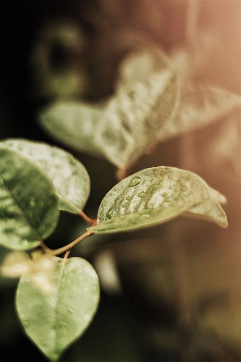 Why Is UV Light Bad For Your Eyes?