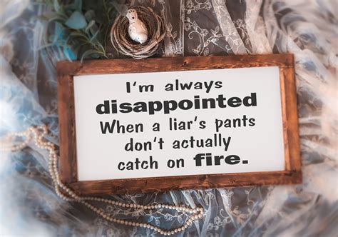 I M Always Disappointed When A Liar S Pants Don T Actually Catch On