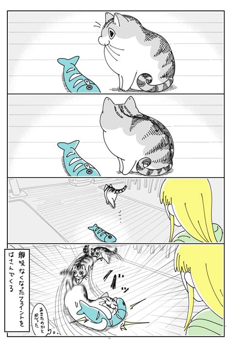 興味がなくなったと見せかけて･･･ 可愛すぎる「猫漫画」が話題に 話題の画像プラス