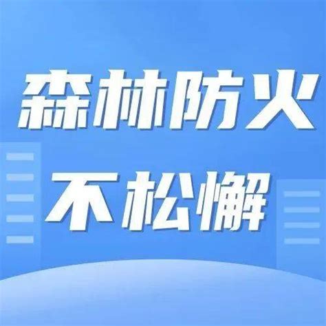 8月26日·森林防火动态集锦丨我们全力守护绿色家园南川哨卡宣传