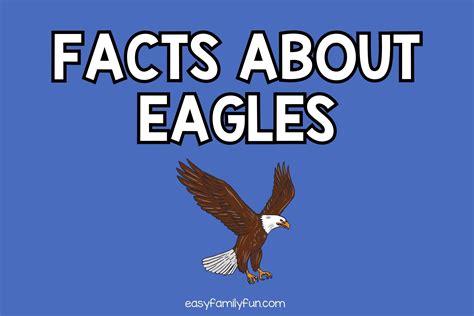 Fascinating Facts About Eagles