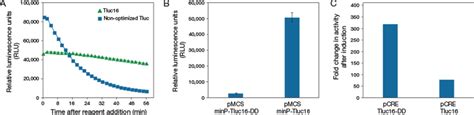 The Hts Compatible Turboluc Luciferase One Step Glow Assay Thermo