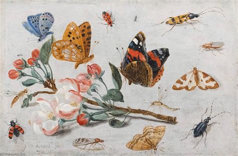 Reproducciones De Arte Estudio De Mariposas Y Otros Insectos Con Una