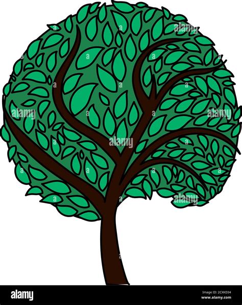 Ecological Tree With Leaves Icon. Outline With Color Fill Design ...