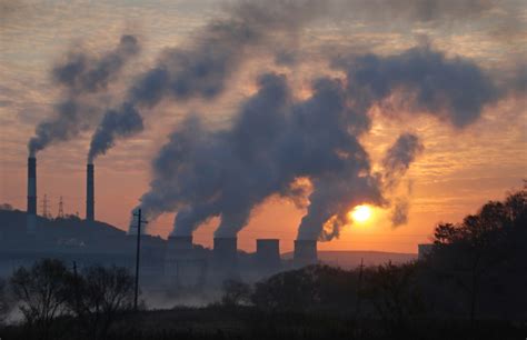 Ochrona środowiska Opis co to Definicja pojęcia ekologia pl