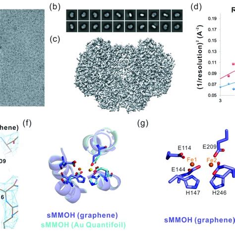 PDF Batch Production Of High Quality Graphene Grids For Cryo EM Cryo