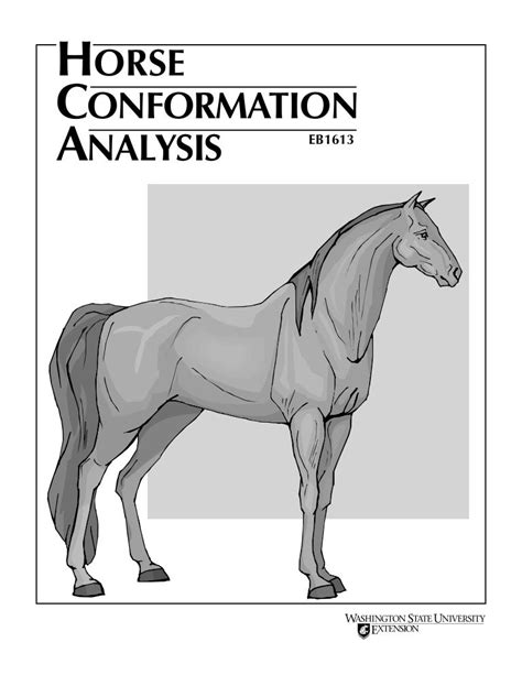 Horse Conformation Chart