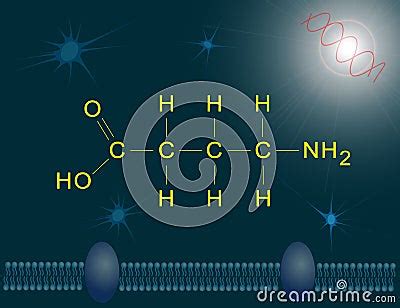 GABA Structure Vector Illustration | CartoonDealer.com #18447572