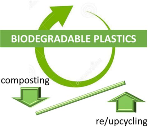 End Of Life Of Biodegradable Plastics Composting Versus Reupcycling