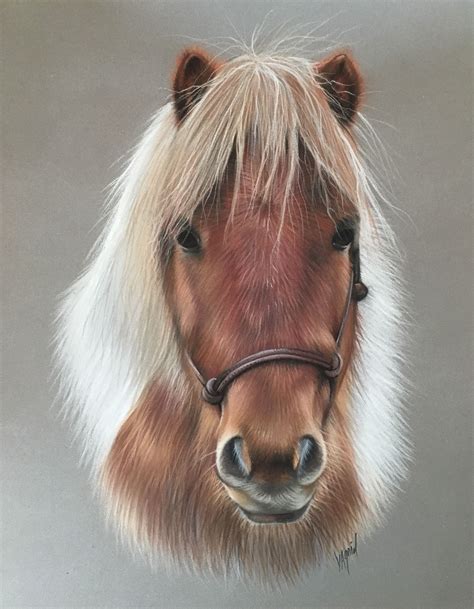 Poney pastel Dessin de poney réalisé au pastel poney littlehorse