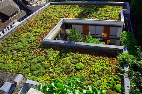 Green Roofs Integral To Green Recovery