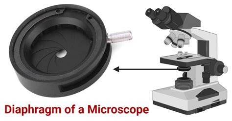 Diaphragm Of A Microscope Types Functions Care