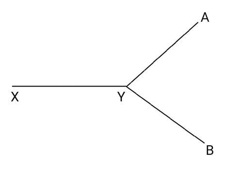 Draw A Line Segment Xy Then Draw Two More Line Segments That Have Y As