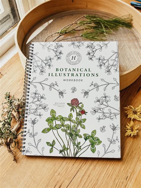 Botanical Illustrations Workbook – Coloring Book & Monographs